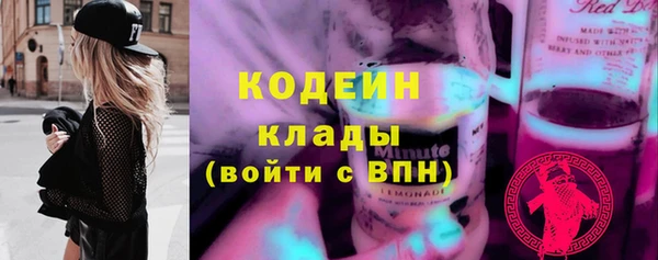 спиды Лагань