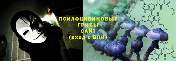 гидропоника Лабытнанги