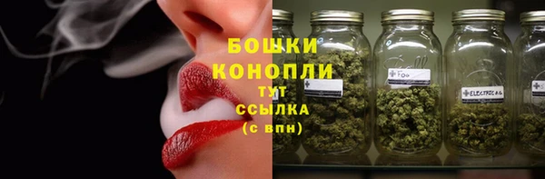 спиды Лагань