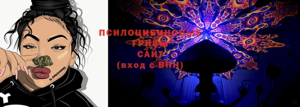 спиды Лагань